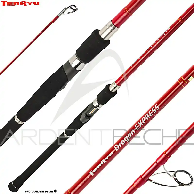 Vente Flash Canne TENRYU Dragon express