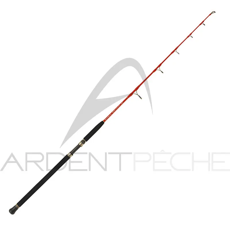 Canne TENRYU Big fiber jig Réduction
