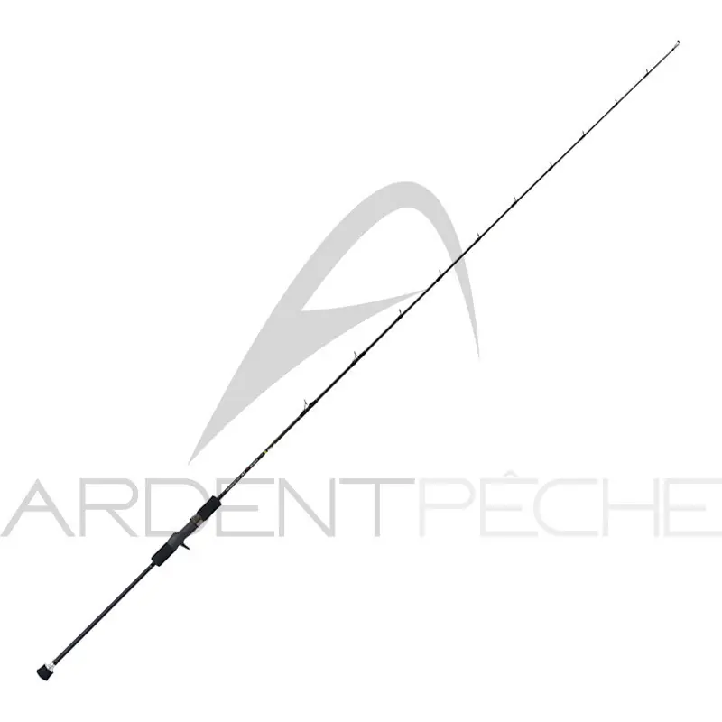 Canne TENRYU Horizon HSL 66 B H Populaire