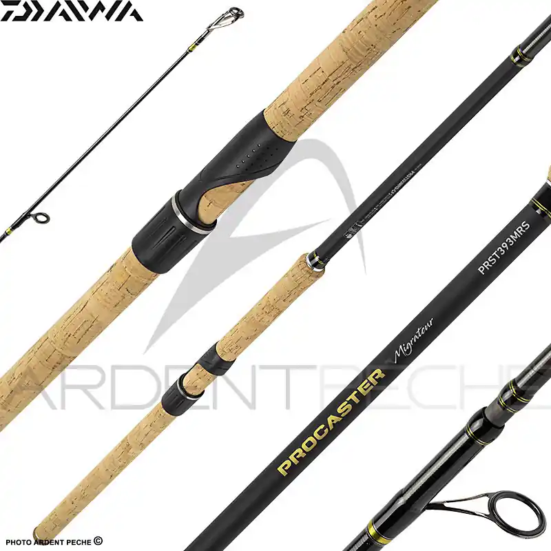 Affaire À Saisir Canne DAIWA Procaster sea trout