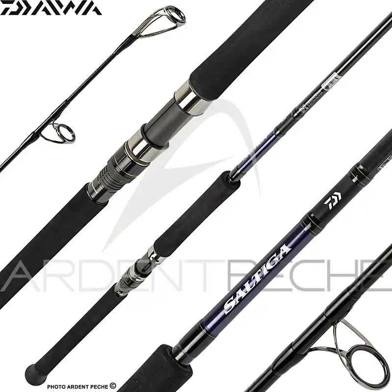 Canne spinning DAIWA Saltiga casting Offre Limitée