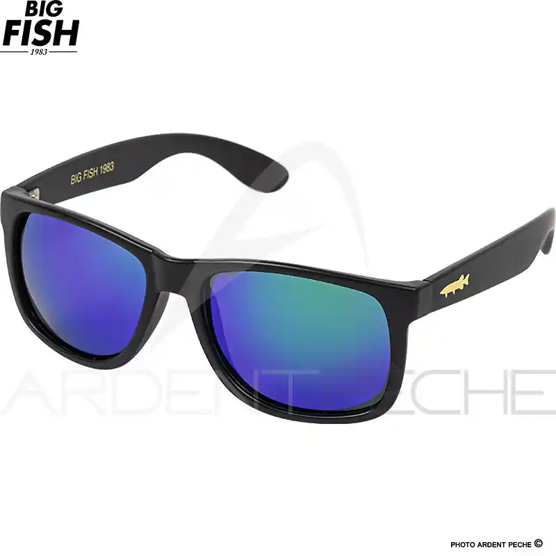 Lunettes polarisantes BIG FISH 1983 Easy fish Pike cameleon Expédition Rapide