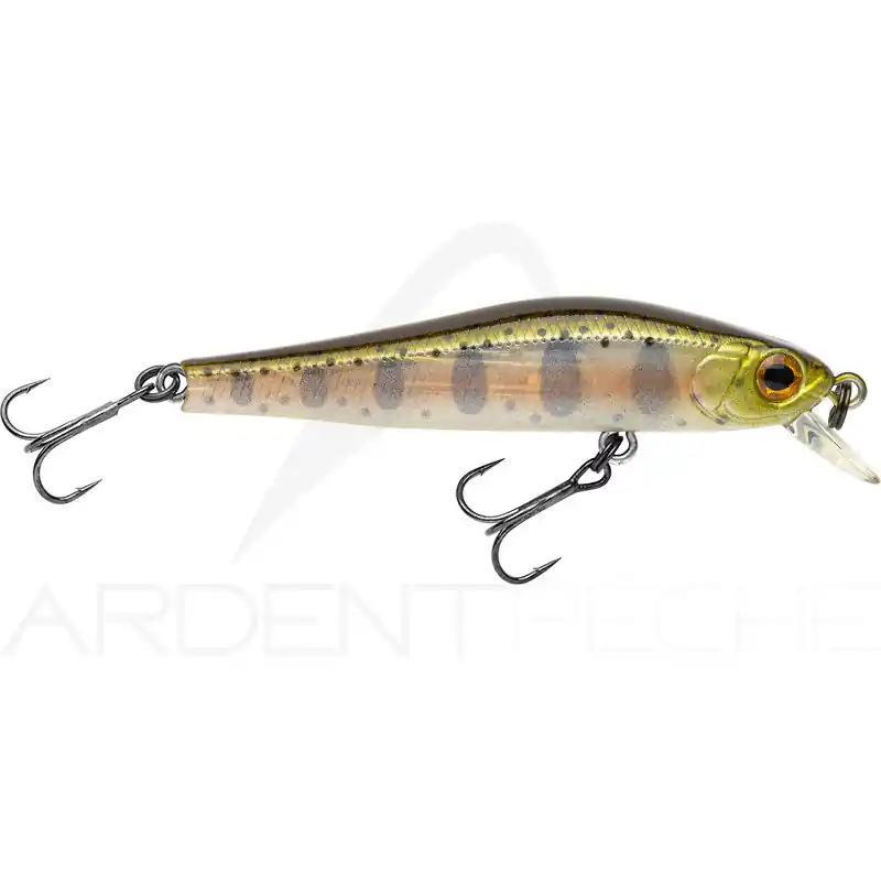 Populaire Poisson nageur ZIP BAITS Rigge 56 F