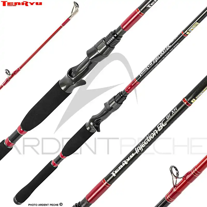 Bon Plan Canne casting TENRYU Injection BC 81 XH
