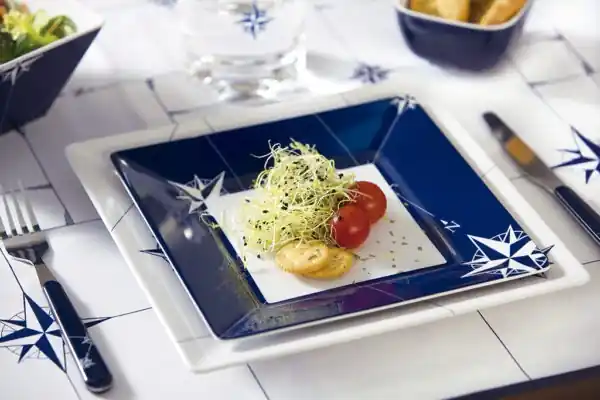 Assiette Plate Marine Business – Collection Northwind – 2 pièces + 1 pièces dessert – OCCASION GRADE A+ Promotion Saisonnière