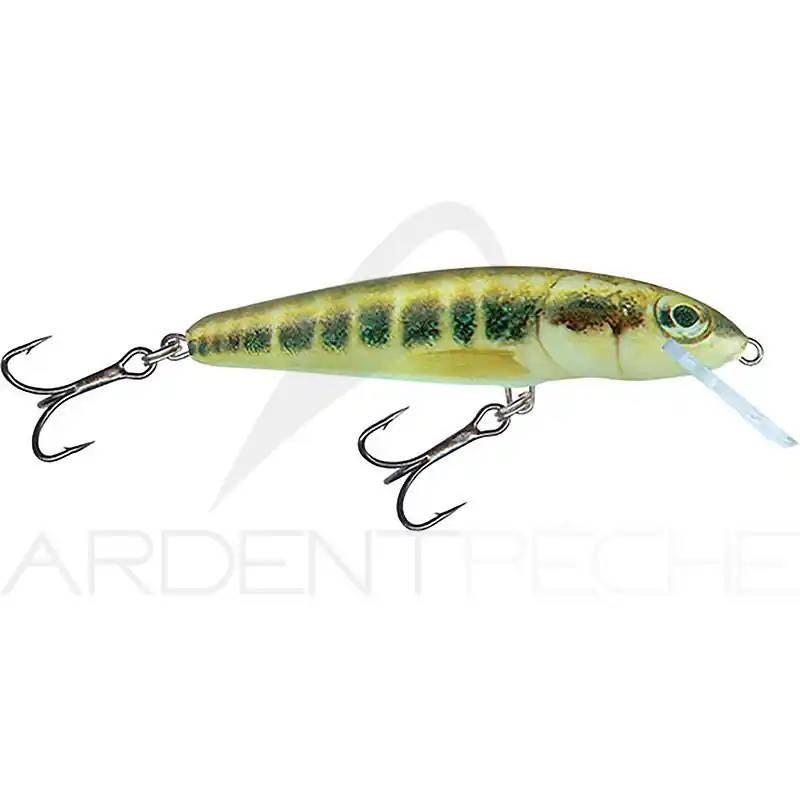 Poisson nageur SALMO Minnow 5 F Usine Directe