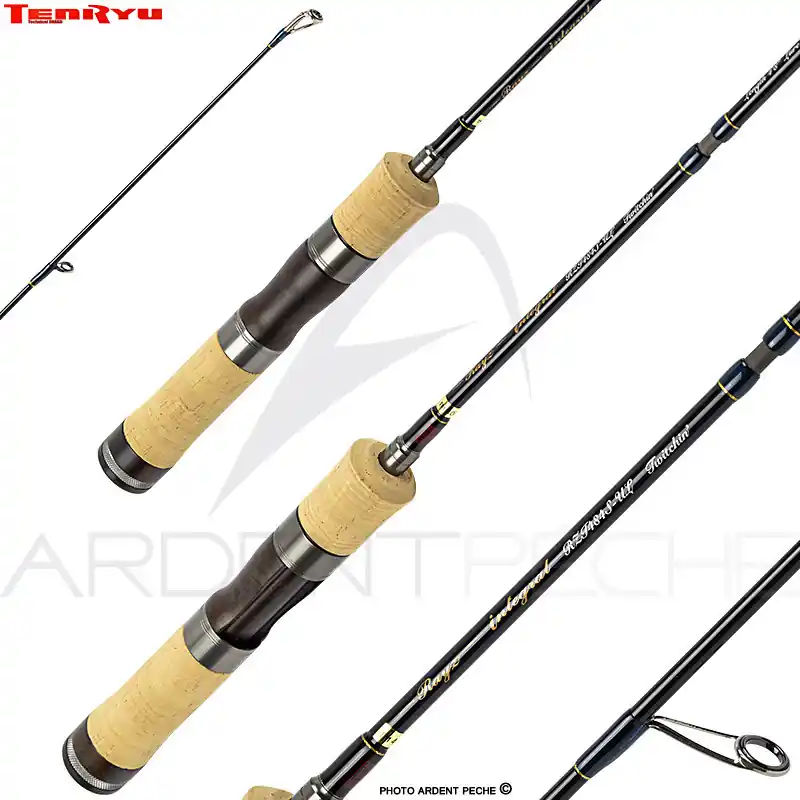 Authentique Canne spinning TENRYU Rayz integral 484 S UL
