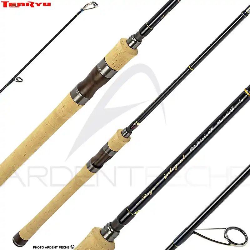 Canne spinning TENRYU Rayz integral 755 S ML M Haute Qualité