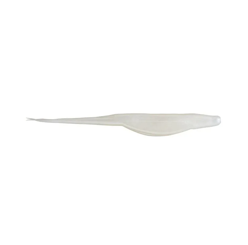 Leurre souple Zoom Salty Super Fluke 152mm Blanc Perle Livraison Express
