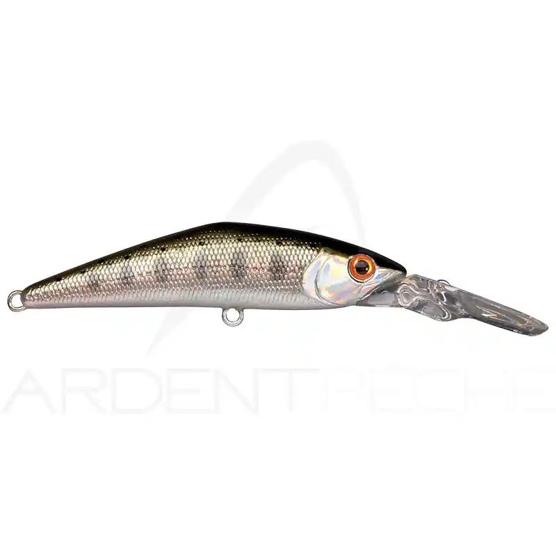 Poisson nageur SMITH D Direct 55 Affaire À Saisir