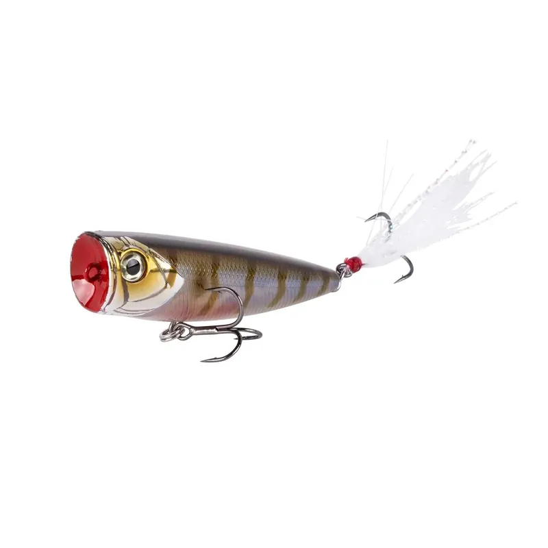 Popper Shimano Yasei Pure Pop F 80mm Wakasagi Tigre Retour Gratuit