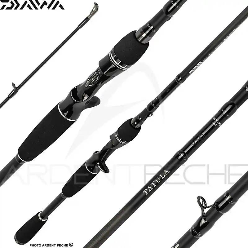 Promotion Saisonnière Canne casting DAIWA Tatula 23