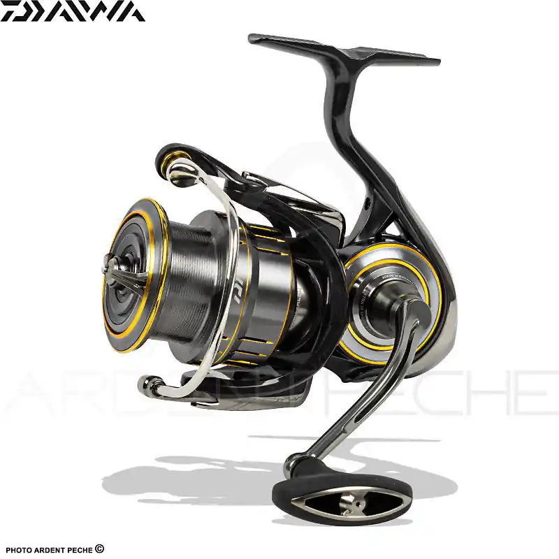 Super Prix Moulinet spinning DAIWA Luvias airity LT 21