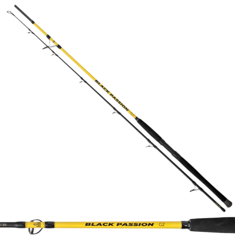Usine Directe Canne Black Passion G2 Long Ranger 3,30m 600gr Black Cat