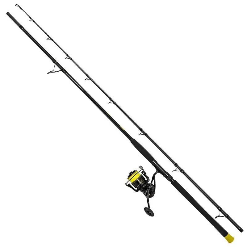 Acheter Direct Ensemble Hard Core Combo Bank Rod 3,00m 600gr Black Cat