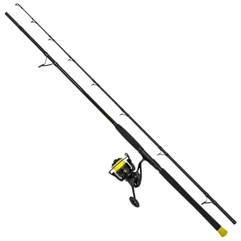Solde Ensemble Hard Core Allround 2,70m 200-500gr Black Cat