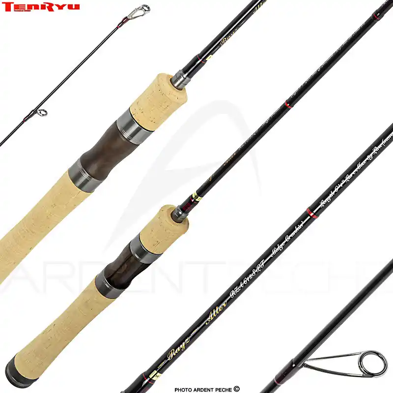 Meilleur Prix Canne spinning TENRYU Rayz alter 612 S LT