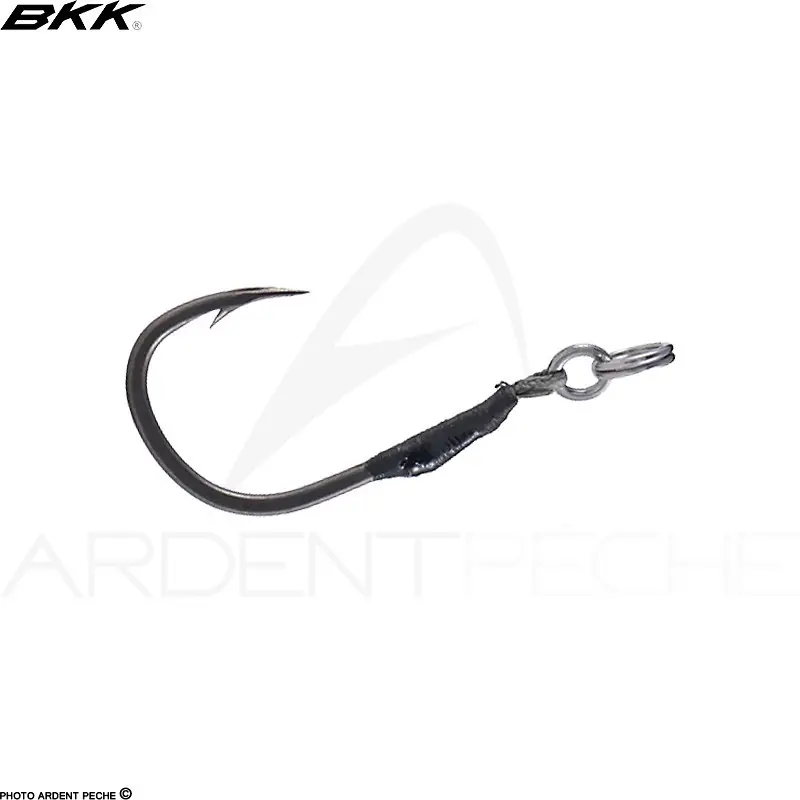 Authentique Hameçon simple BKK Native 12 SS
