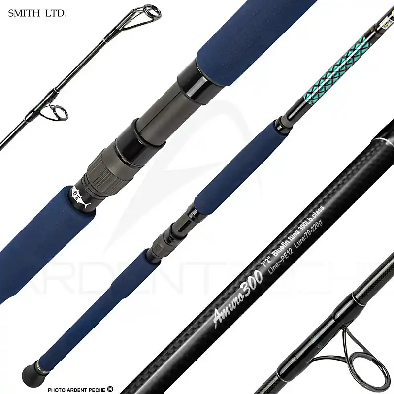 Canne spinning SMITH Amuro 300 Offre Du Jour
