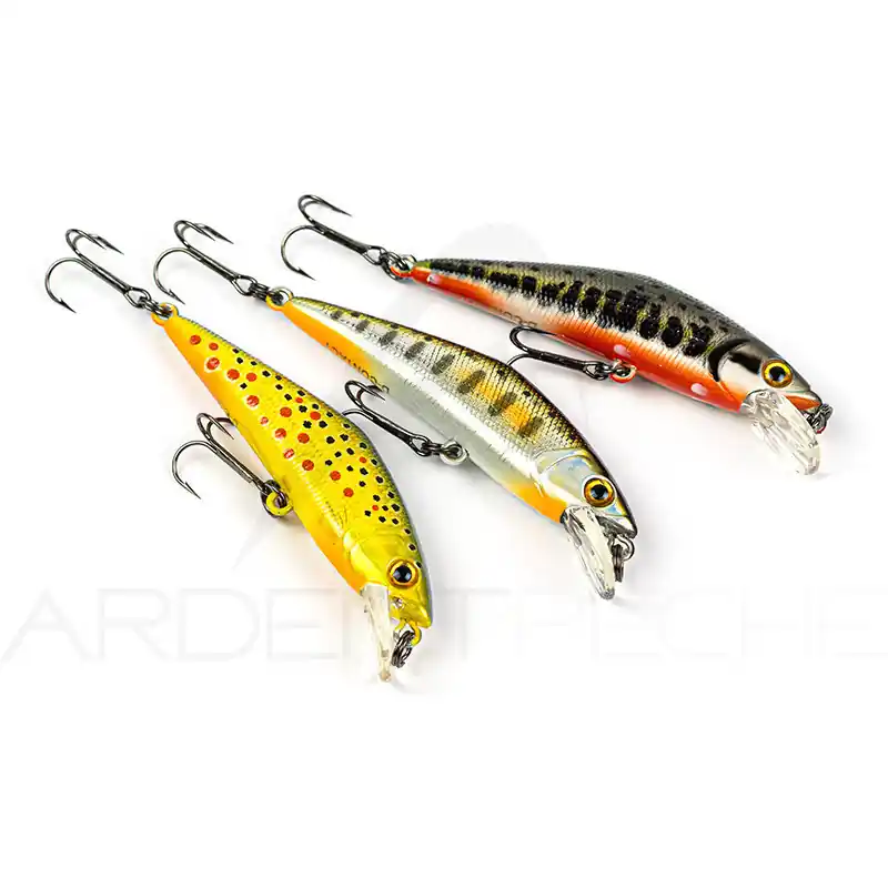 Achat Immédiat Pack de 3 poissons nageurs truite SMITH D-Contact 50 S