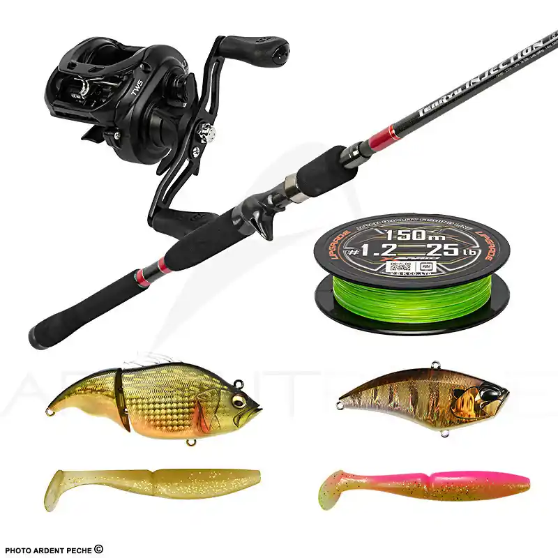 Expédié Aujourd'hui Pack premium casting TENRYU Injection BC 73 XH + DAIWA Tatula HD LTD 200 HL