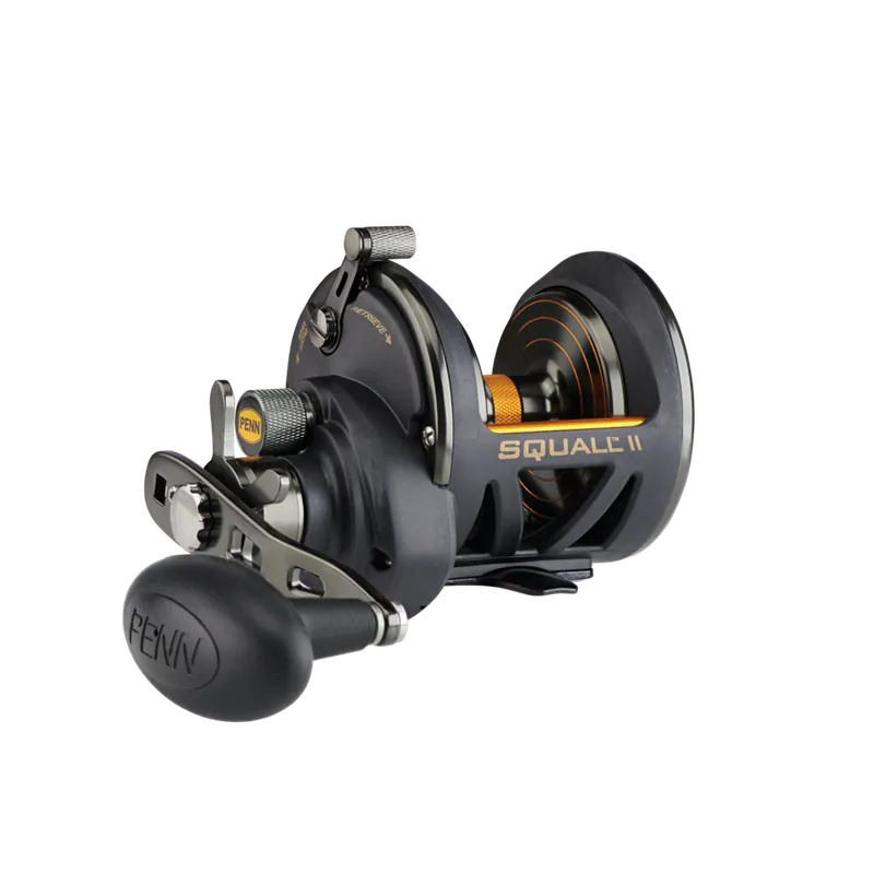 Prix Choc Moulinet traine Penn Squall II Star Drag 25 - RH