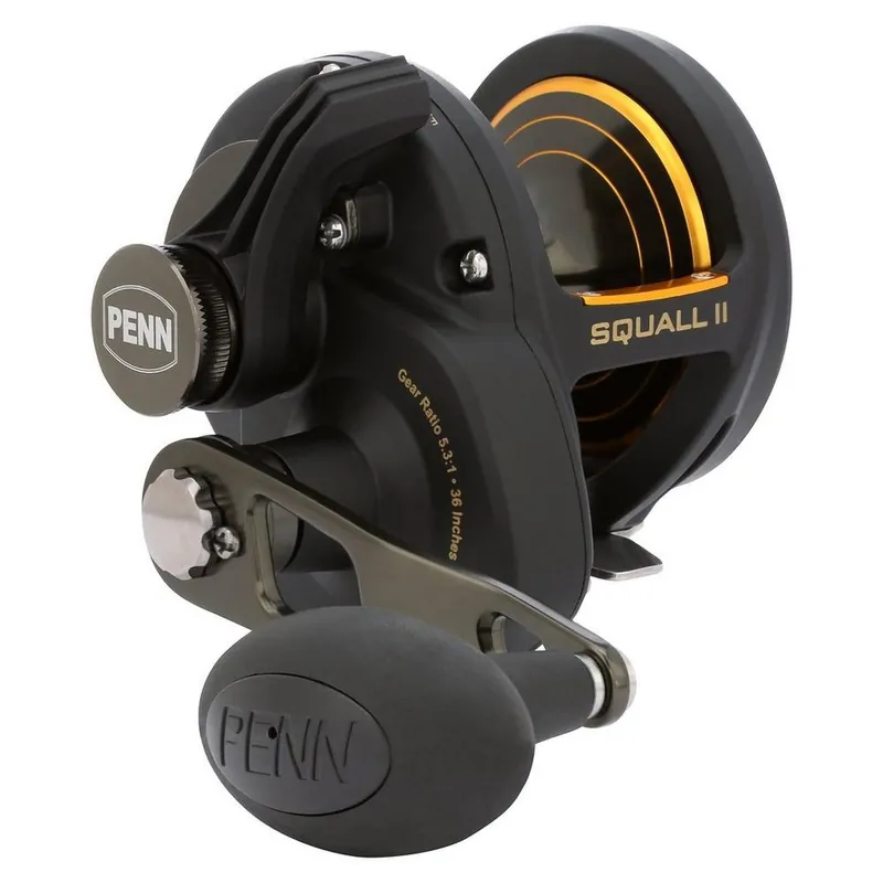 Prix Bas Moulinet traine Penn Squall II Lever Drag 25