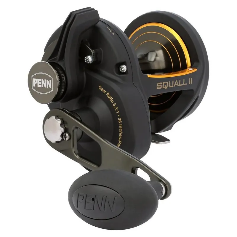Moulinet traine Penn Squall II Lever Drag 40 Livraison Express