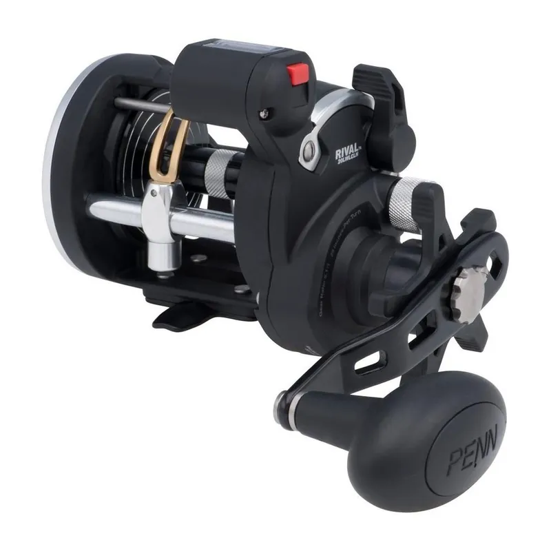 Seulement Aujourd'hui Moulinet Traine Penn Rival Level Wind 20 LH LC