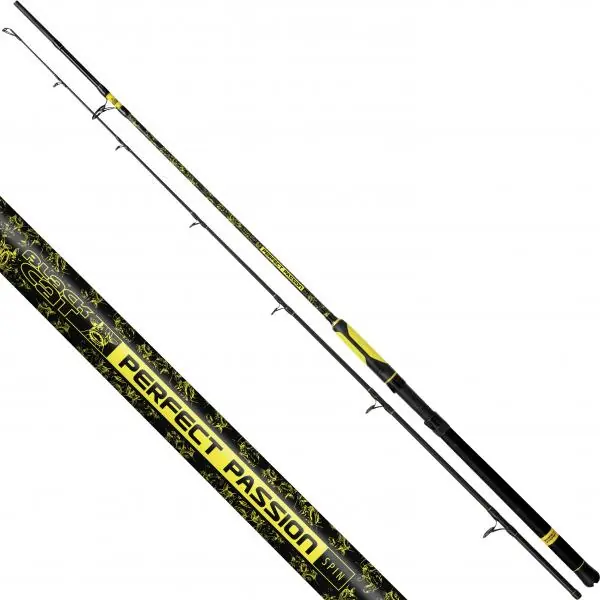 Must-Have Canne Perfect Passion Spin 2,70m 60-200gr Black Cat