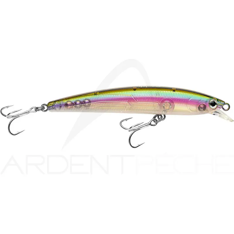 Poisson nageur SMITH Panish 120 F SW Offre Du Jour
