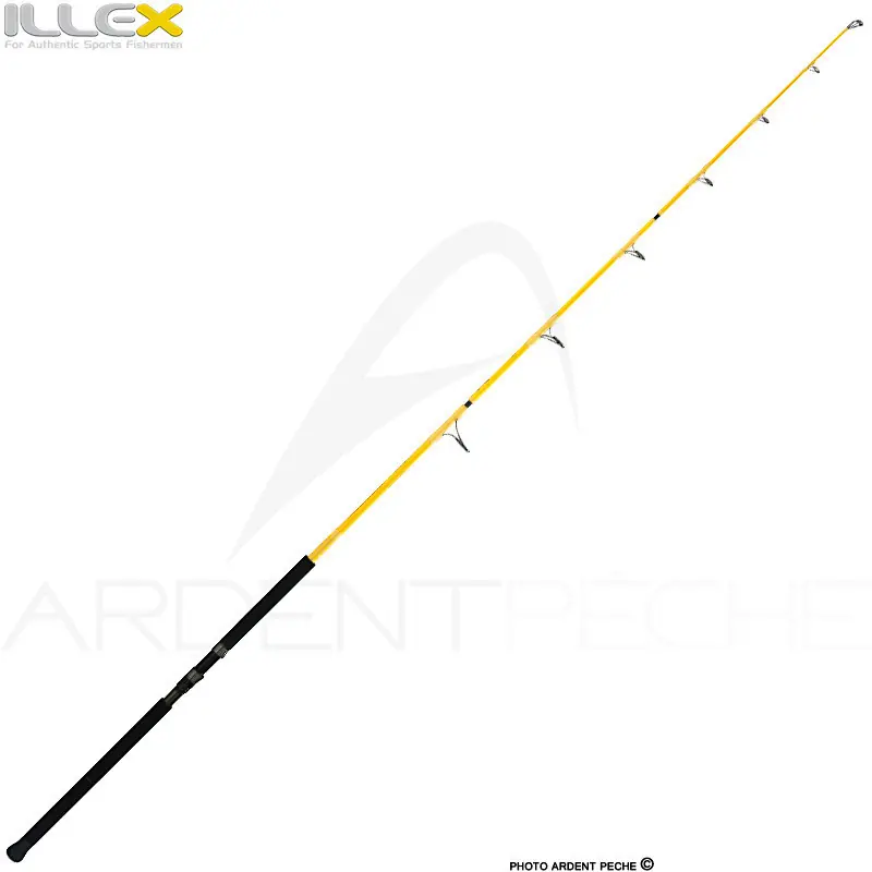 Canne spinning ILLEX Element rider X5 S 2404 XH GT Expedition Nouveauté