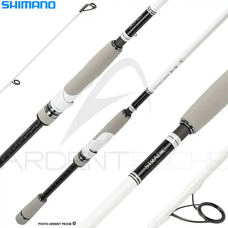 Canne spinning SHIMANO Stradic seabass Populaire
