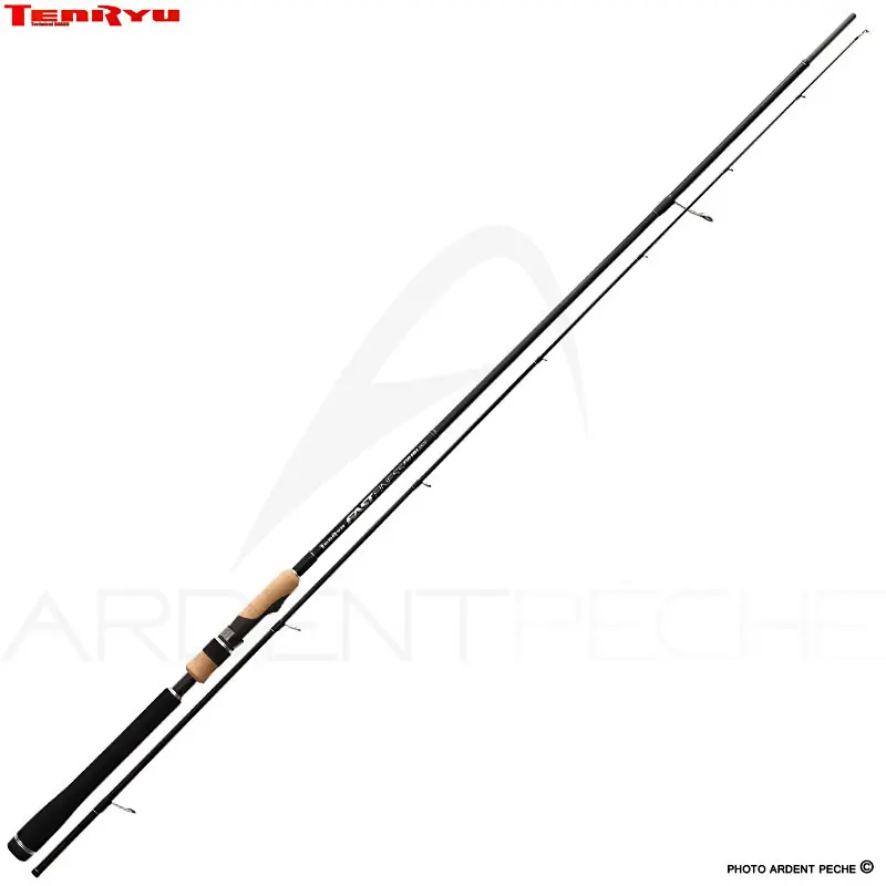 Offre Spéciale Canne spinning TENRYU Fast finess 710 MH 2ES