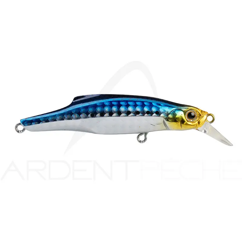 Poisson nageur JACKSON Pin tail 20 Retour Gratuit