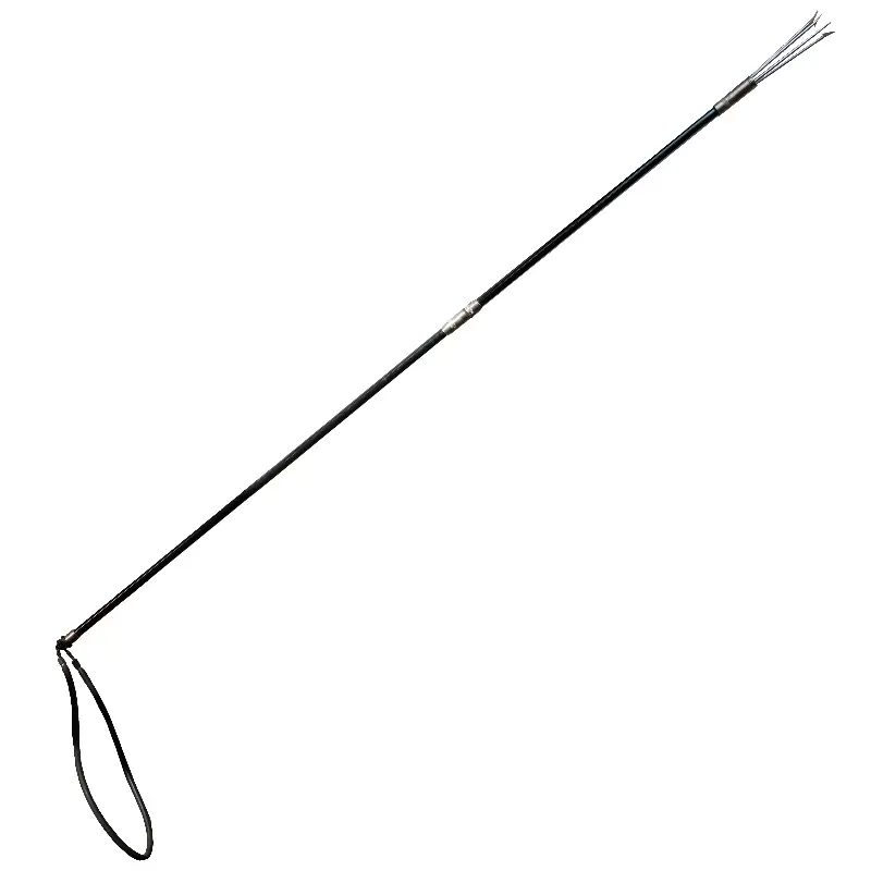 Pole Spear Sigalsub Expédié Aujourd'hui