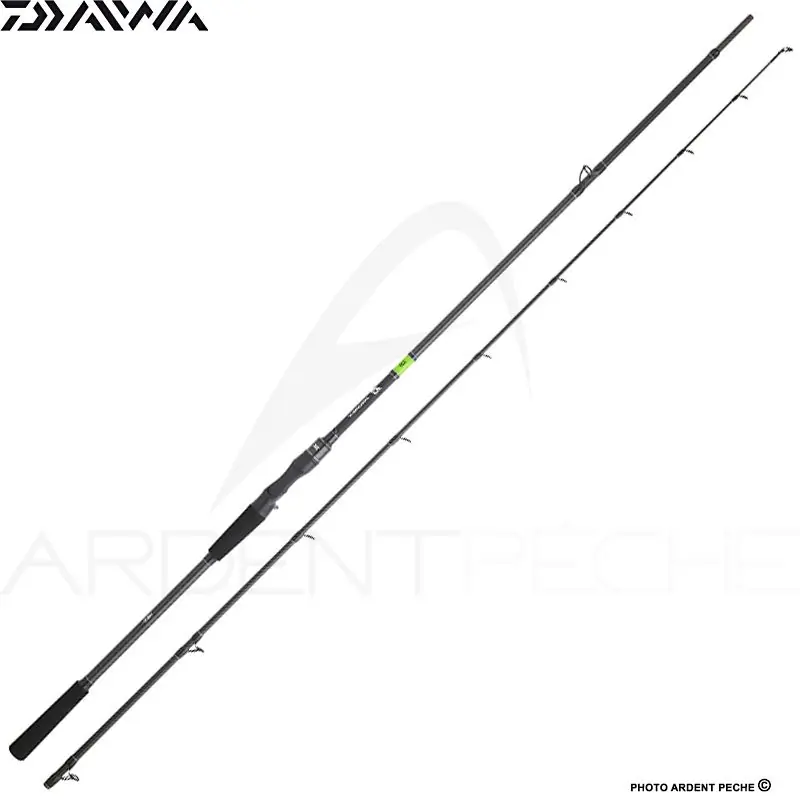 Canne casting DAIWA Prorex E Petit Prix