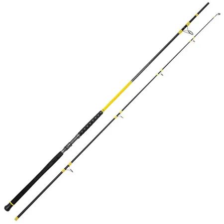 Remise Canne Freestyle Pro Pellet 3,20m 300gr Black Cat