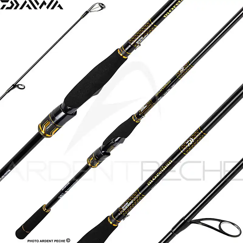 Canne spinning DAIWA Morethan branzino expert Pas Cher