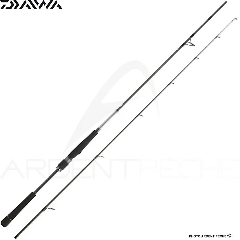 Solde Canne spinning DAIWA Saltist seabass 24