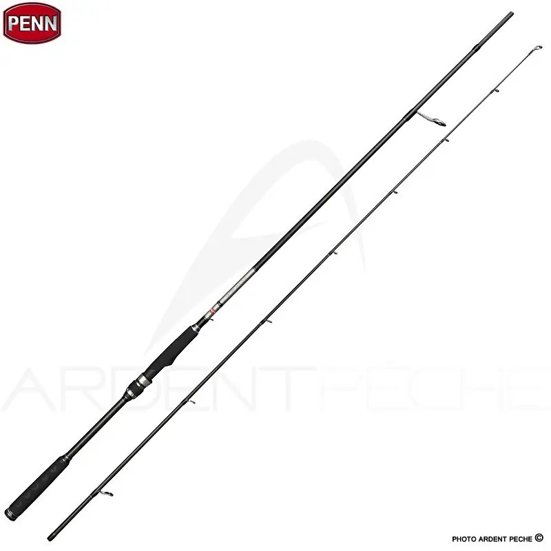 Affaire À Saisir Canne spinning PENN Conflict X Inshore