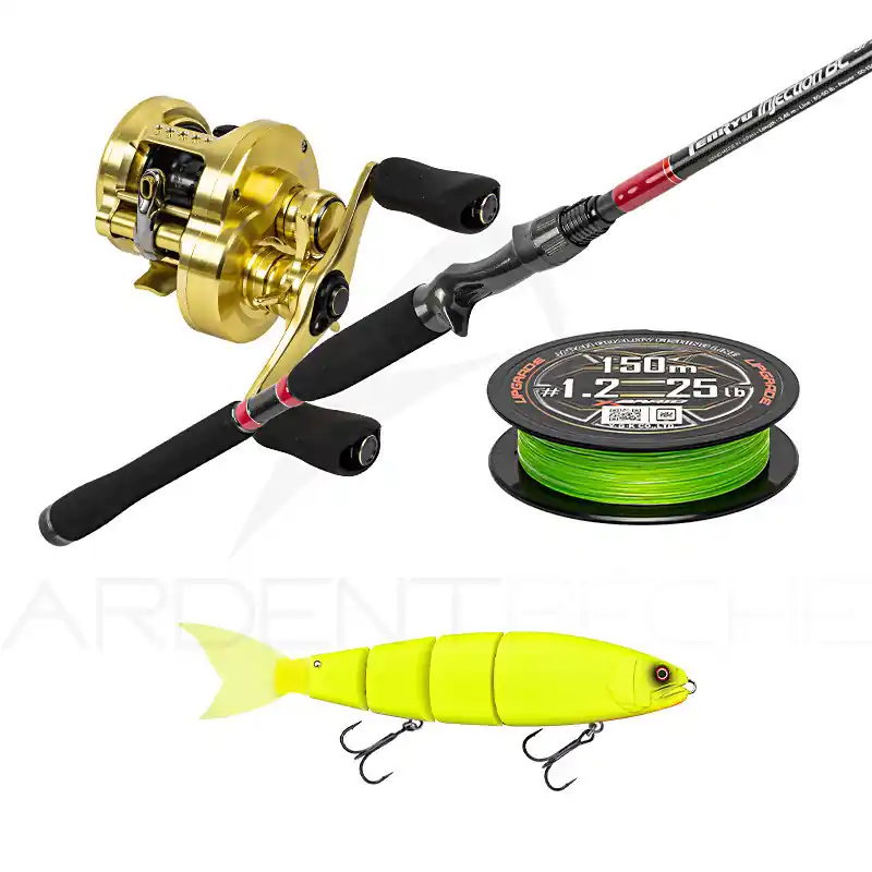 Satisfait Ou Remboursé Pack premium casting TENRYU Injection BC 81 XH + Calcutta