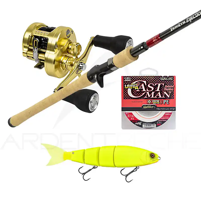 Produit De Marque Pack premium casting TENRYU Injection BC 80 XXH + Calcutta + Balam