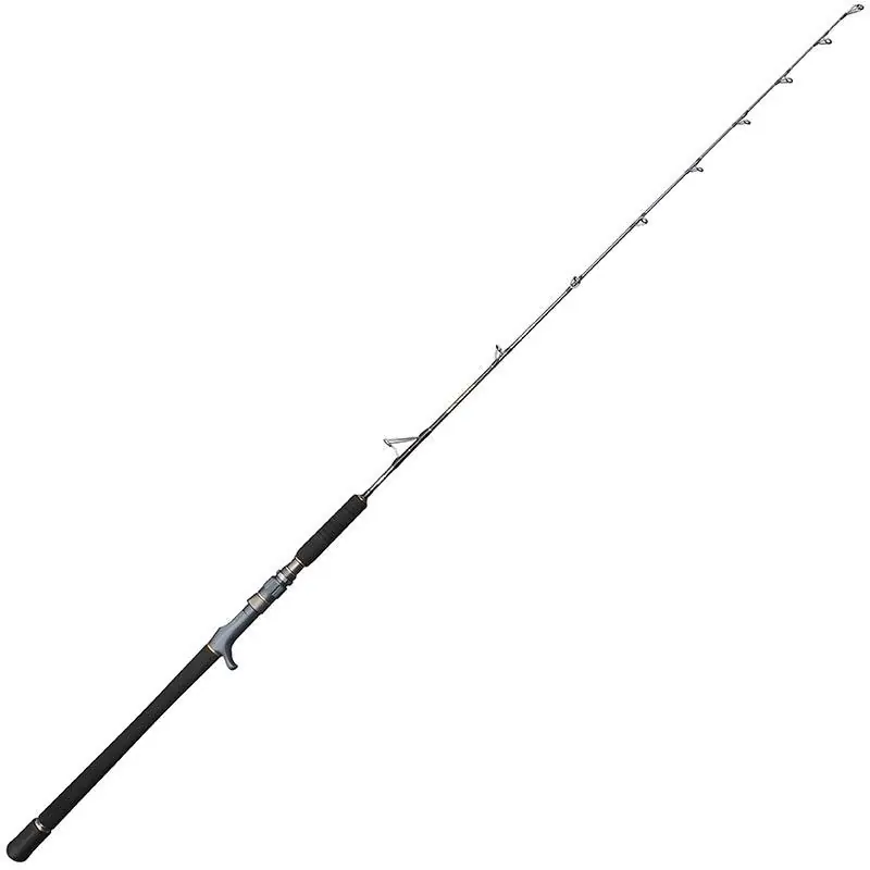 Canne Casting Battalion Solid Jigging Spiral Guide Rod 1,70m 500gr Penn Produit De Marque