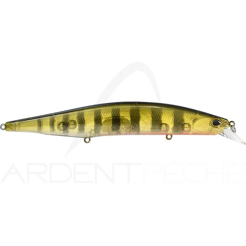 Expédition Rapide Poisson nageur DUO Realis Jerkbait 160 SP