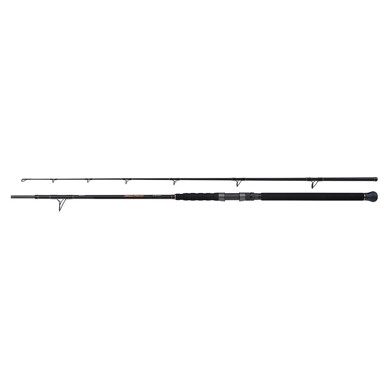 Canne Beastmaster Catfish Multi 2,30m 200gr Shimano Seulement Aujourd'hui