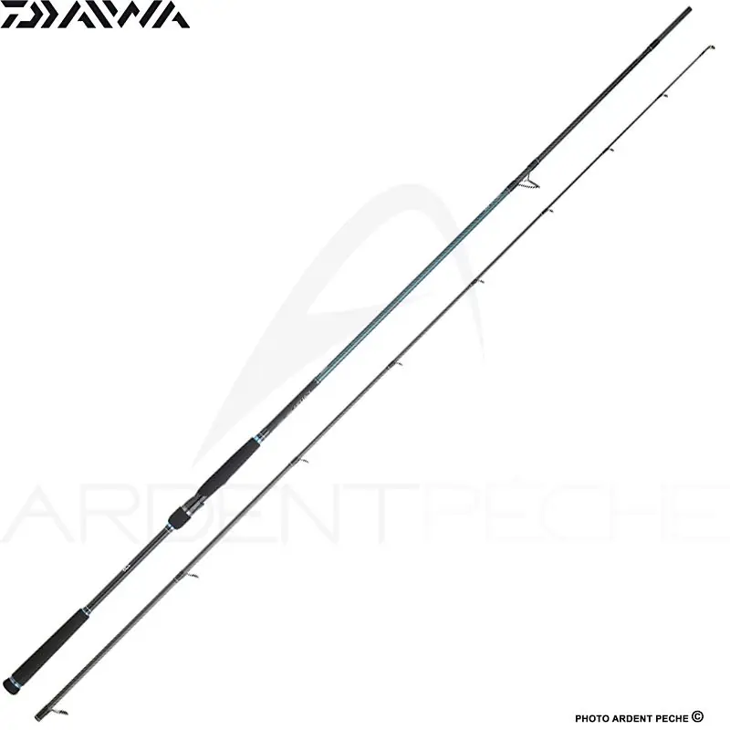 Authentique Canne spinning DAIWA Caldia seabass