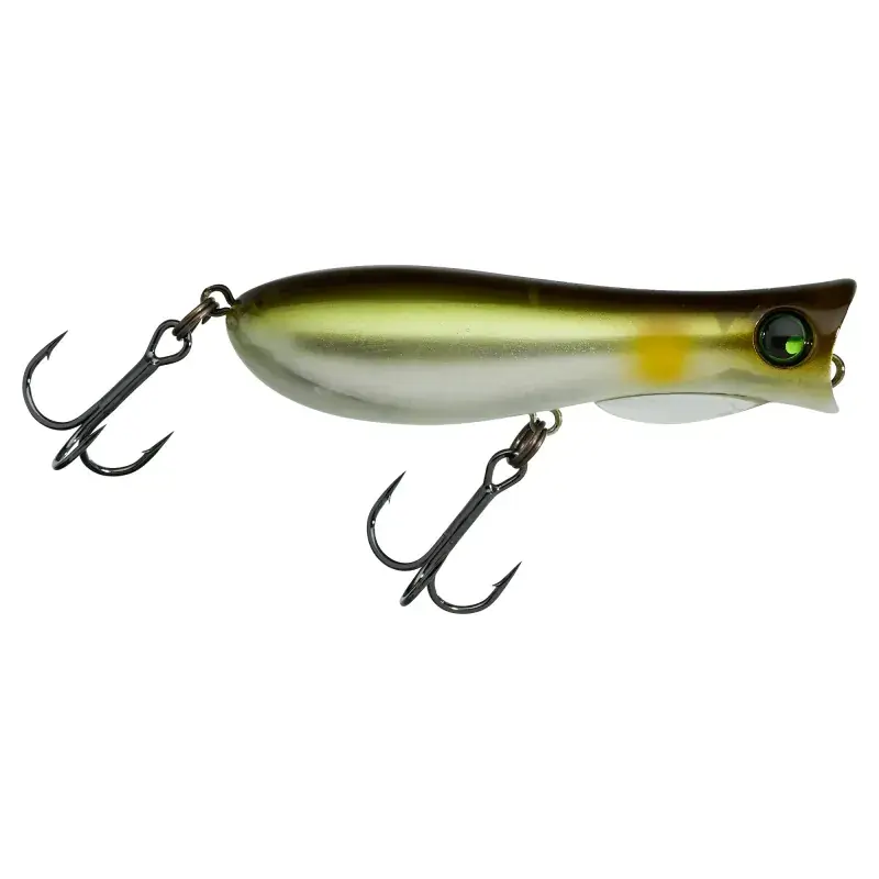 Meilleure Vente Leurre de surface ILLEX Bleeker toppy 67