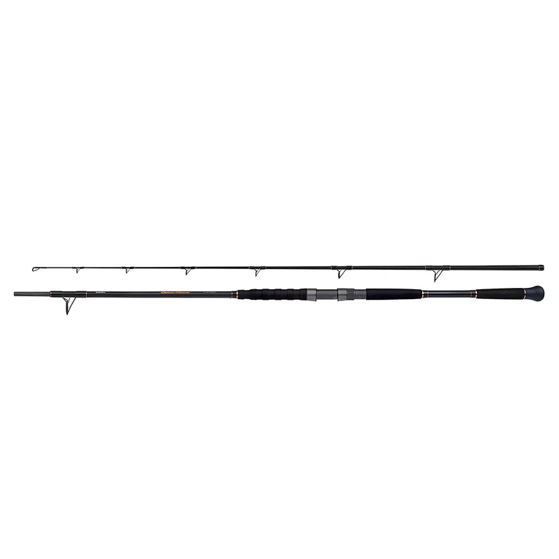 Canne Spinning Beastmaster Catfish Lure 2,40m 150gr Shimano Acheter En Ligne