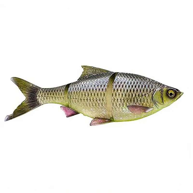 Bon Plan Leurre souple SAVAGE GEAR 3D LT Roach 25cm slow sinking